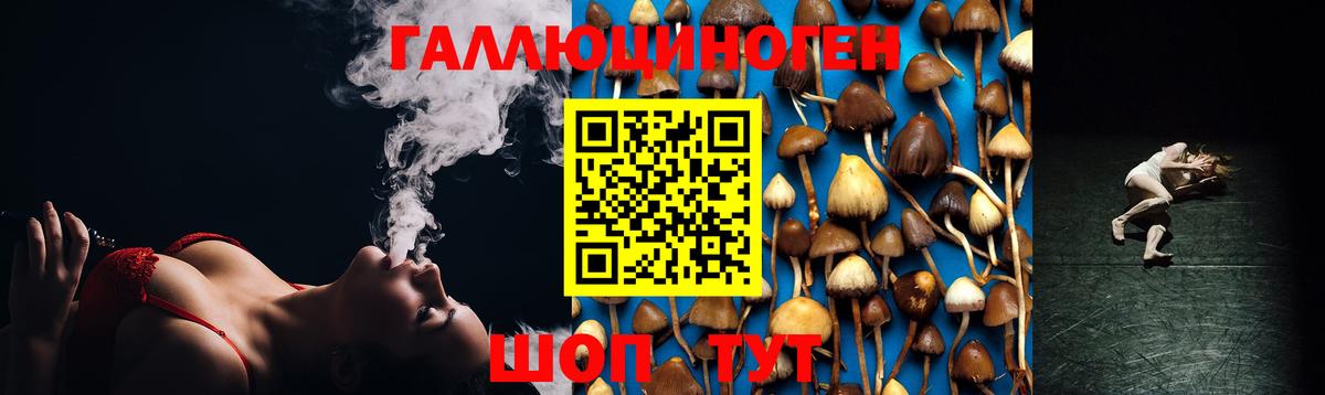Каспийск  Псилоцибиновые грибы MAGIC MUSHROOMS  Вход с VPN  Галлюциногенные грибы прущие грибы 